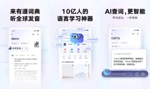 有道词典怎么查词更快？实用技巧提升效率？